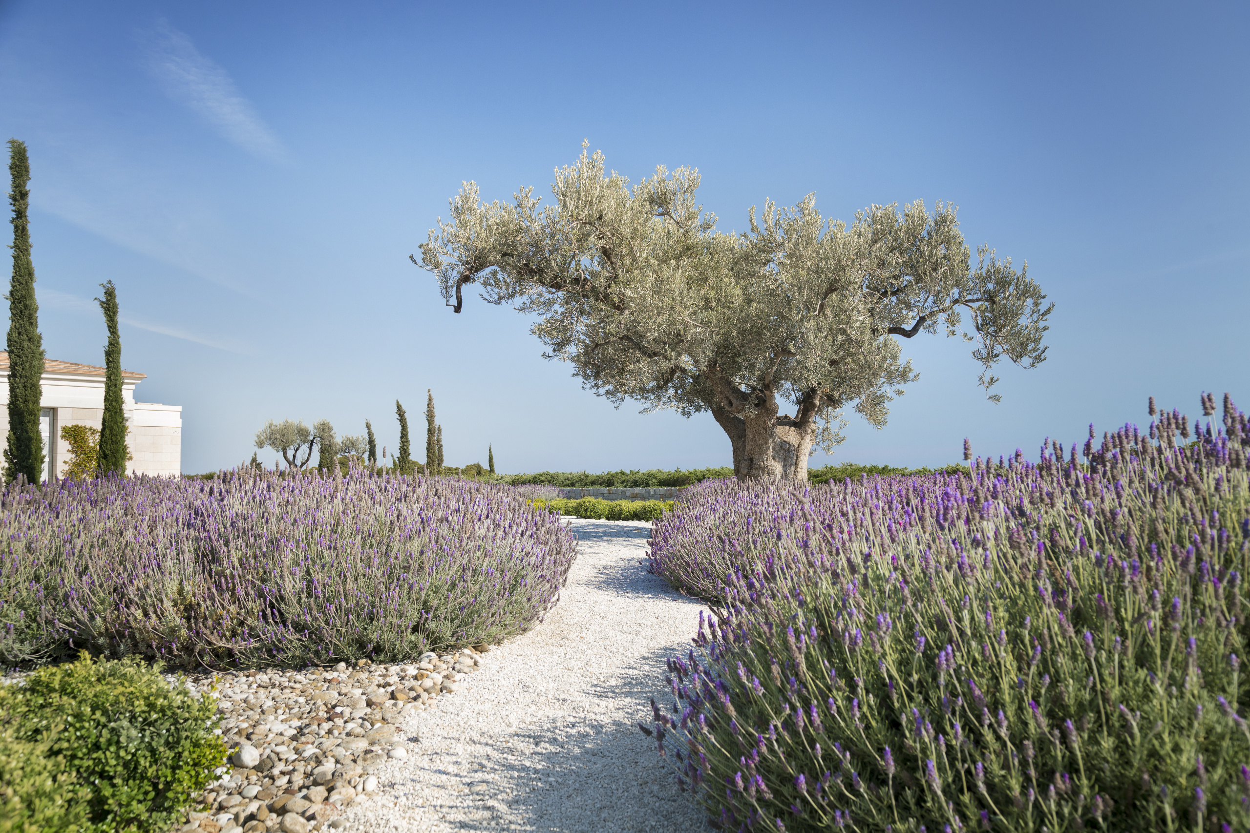 Landscaping